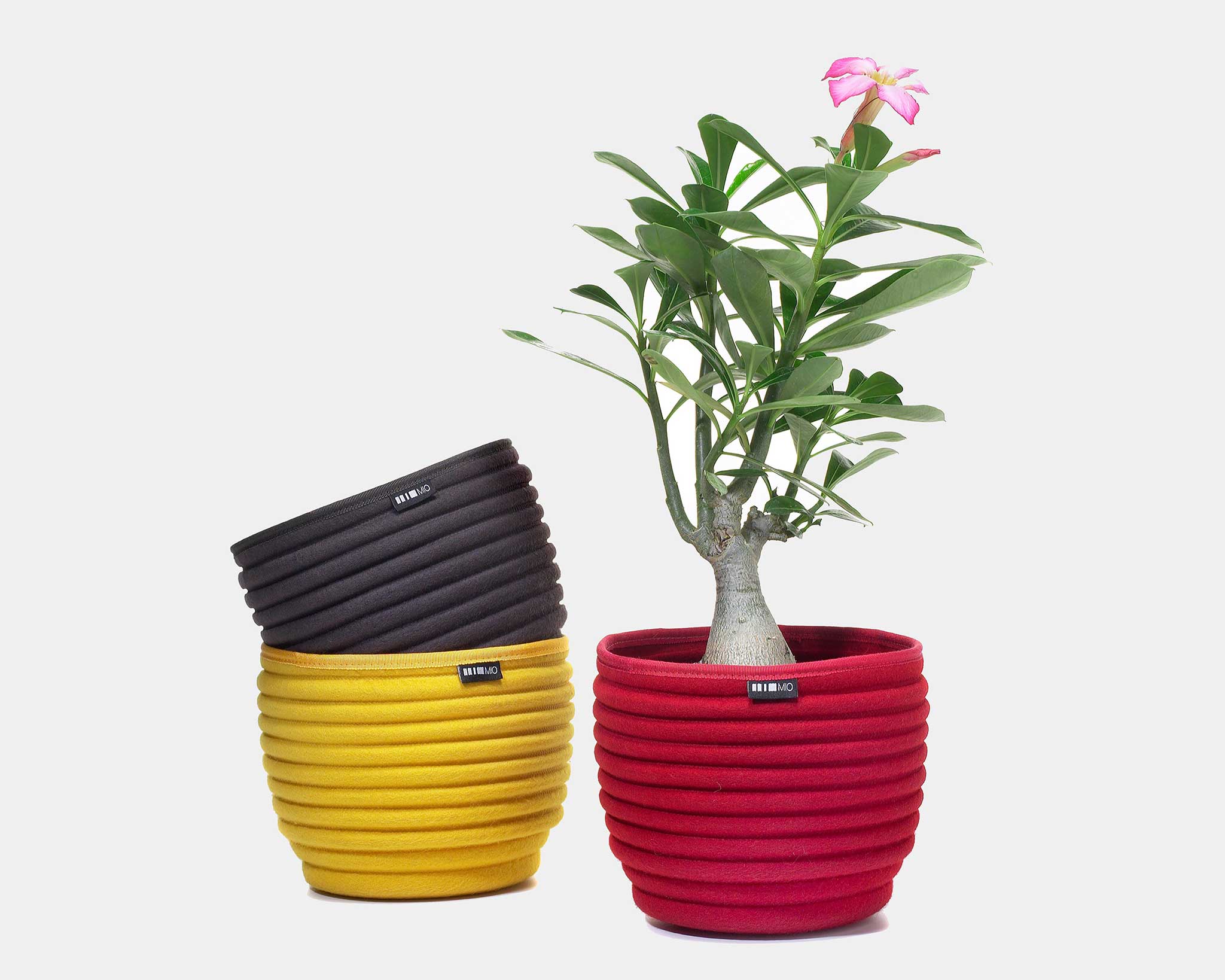 Beehive Softbowl hover image