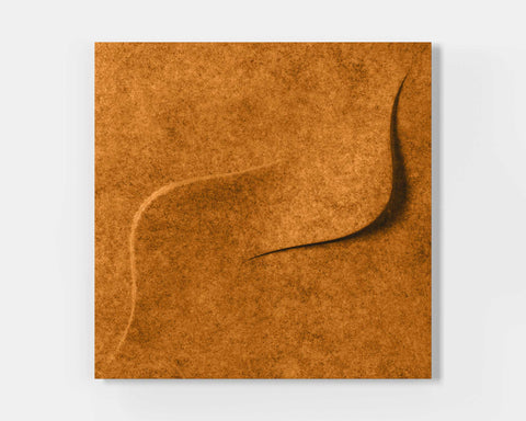 feltform wall panels twist single pumpkin | MIO Culture