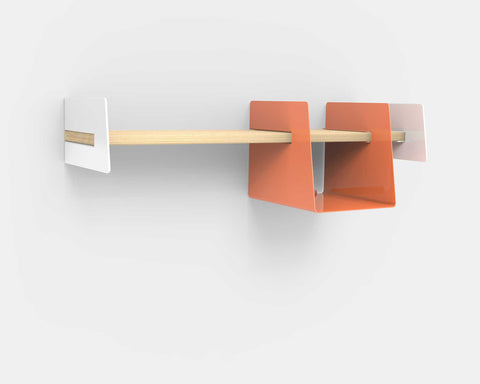 Wall-mounted shelf with salmon storage bin