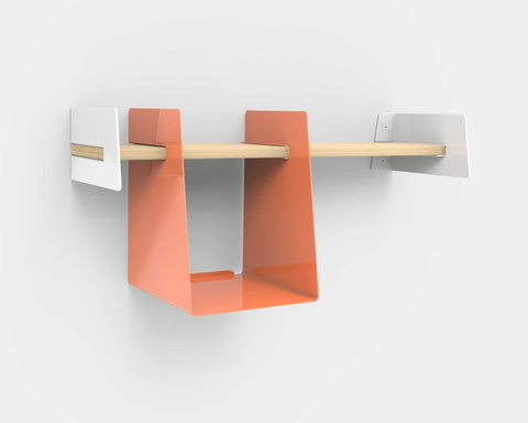 Wall-mounted shelf with salmon storage
