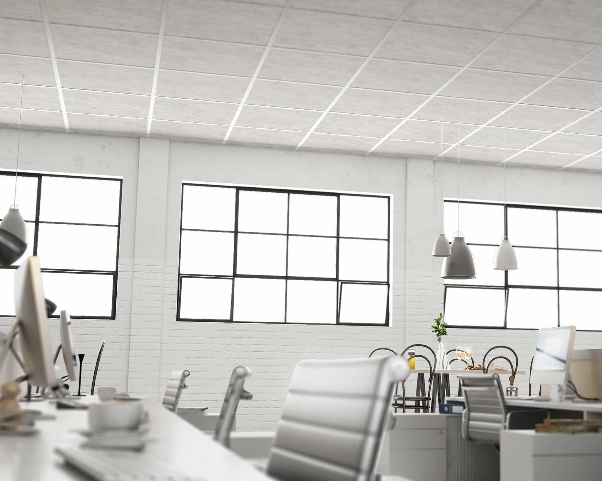 Edge FeltForms Acoustic Ceiling tile installation in office with large windows.