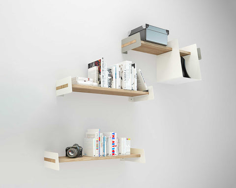 storage and display shelves with books and camera
