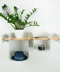 shelf with plant, hat, camera, wallet and glasses