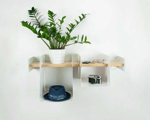 shelf with plant, hat, camera, wallet and glasses